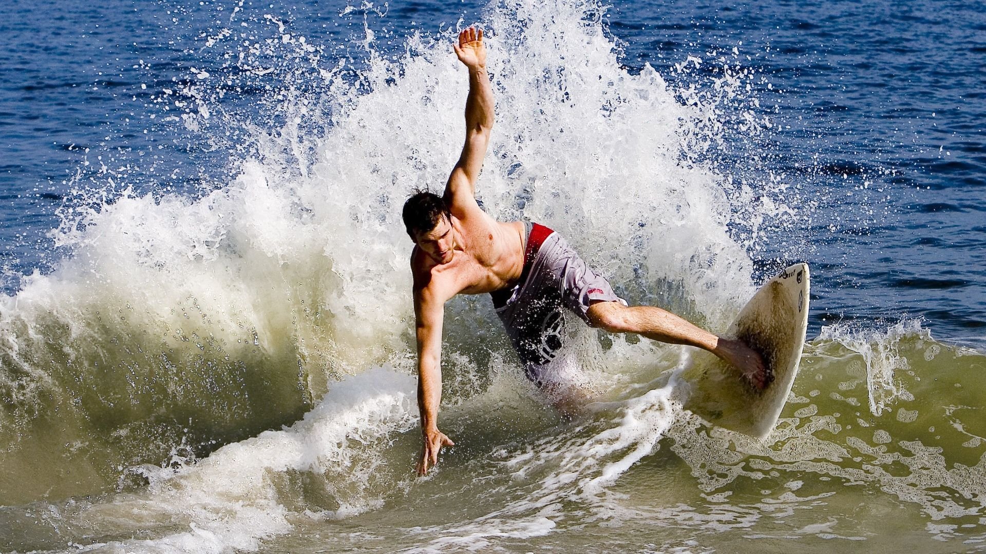 世界青少年武道大会展现中华武魂,世界武道大会介绍